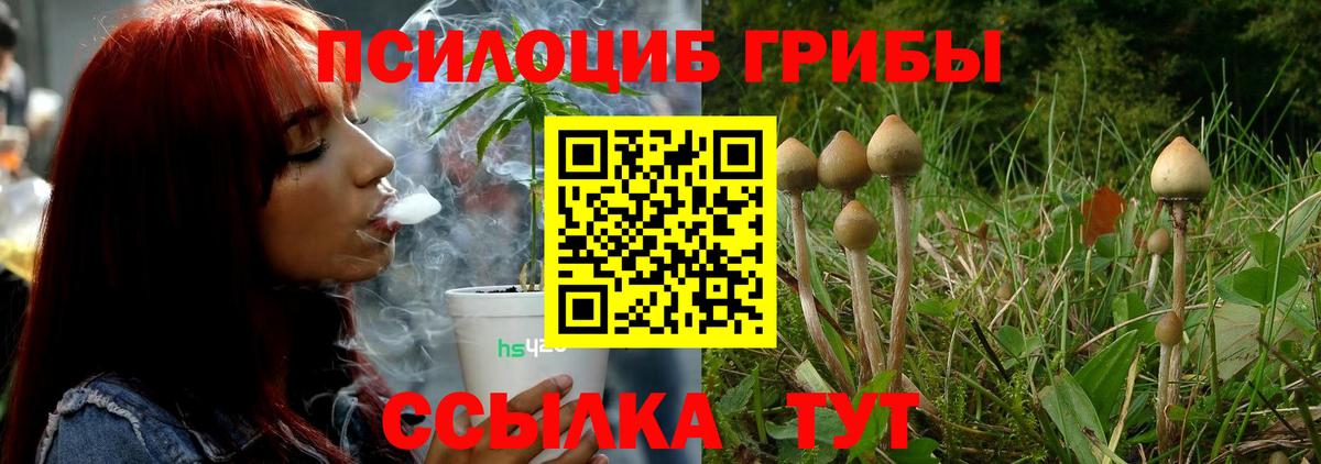 Псилоцибиновые грибы MAGIC MUSHROOMS  Вход с VPN  Люберцы 